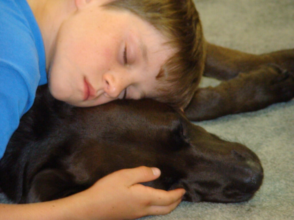 Child with closed eyes laying his head on a large size dog