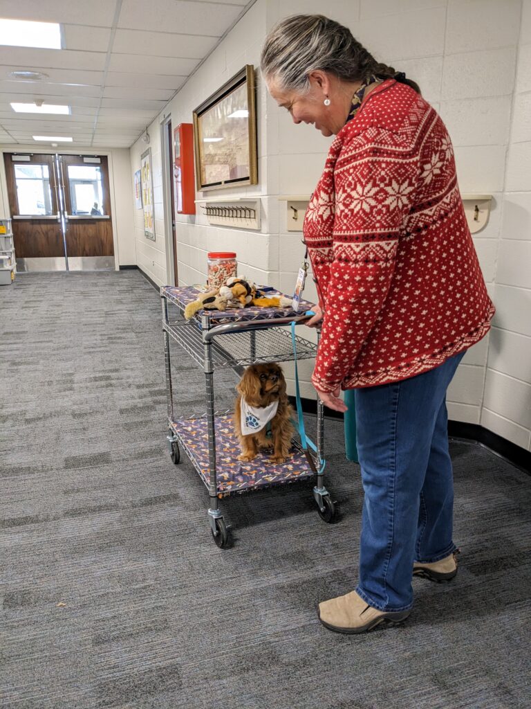 Educator pushing a cart in a school hallway with a small dog riding on it