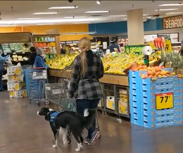 A woman walking while pushing a grocery cart with a medium size dog with a service dog vest in the produce area of a grocery store