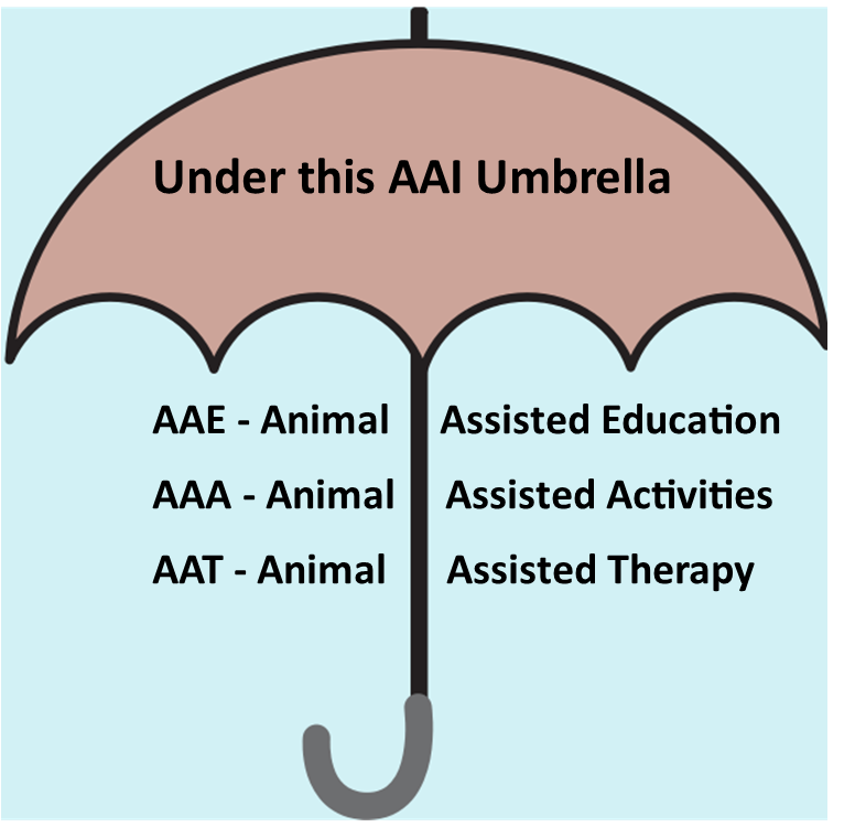 This image shows an umbrella illustration that reads "Under this AAI Umbrella" on the opening of the umbrella.  Under the umbrella are 3 terms defined.  AAE acronym means Animal Assisted Education.  AAA acronym means Animal Assisted Activities.  AAT acronym means Animal Assisted Therapy.